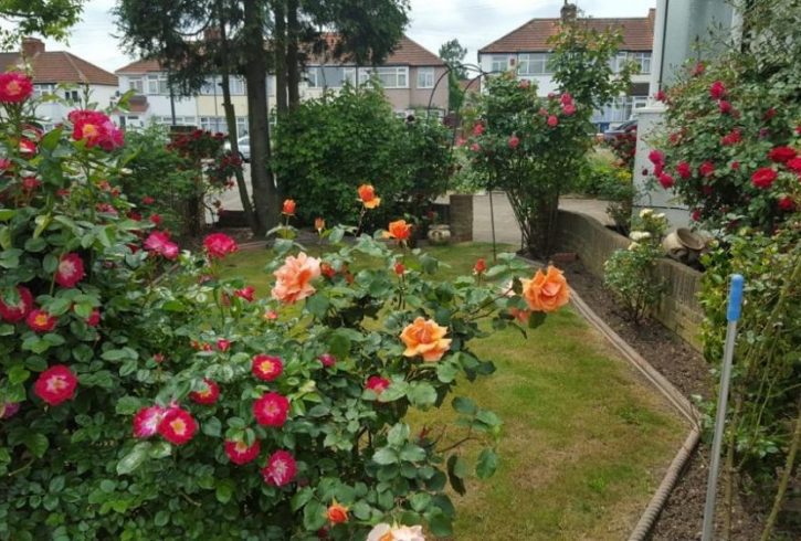 Studio Flat de inchiriat in Edgware - Londra HA8