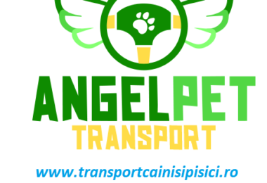Transport Animale de Companie Romania UK Romania