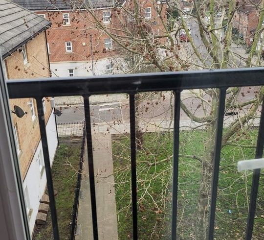 Chirie Camera Single In Royal Arsenal, Londra