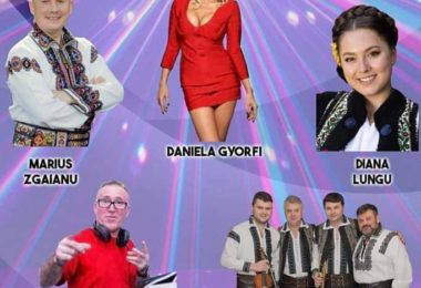 Concert Si Petrecere Romaneasca In Harrow, Londra