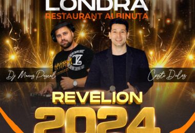 Petrecere De Revelion 2024 În Feltham, Londra