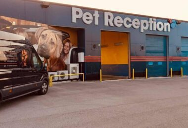 Zootaxi - Firma De Transport Animale Anglia - Romania