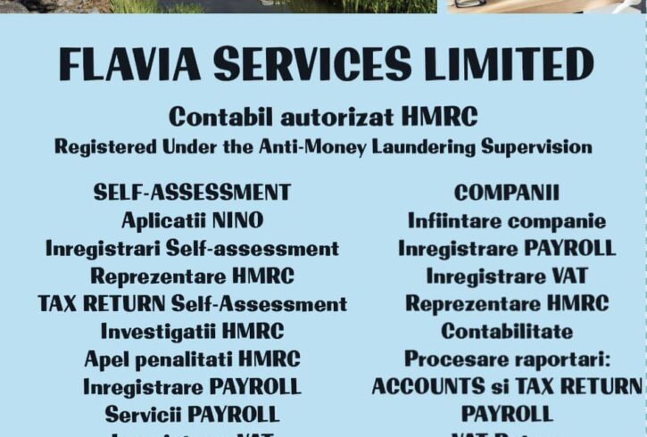 Flavia Services Limited - Contabil Autorizat In Hounslow, Londra