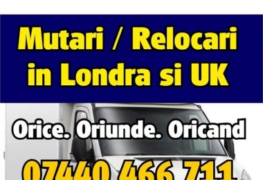 Mutari cu Vanul in Londra UK