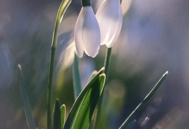 Meditații Matematica Online Diferite Nivele