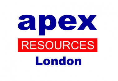 Joburi in Constructii - Apex Resources LTD