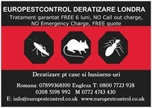 Deratizare plosnite Londra - Europestcontrol LTD Deratizare plosnite Londra - Europestcontrol LTD