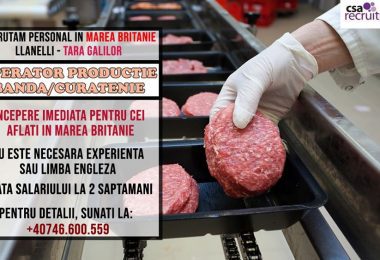 Angajam muncitori calificati si necalificati Llanelli zona WALES