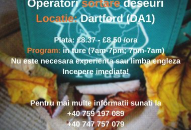 Angajam muncitori necalificati la sortare deseuri in Dartford DA1