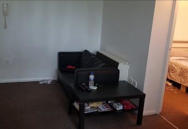 Chirie apartament cu o camera in Leyton E107NB