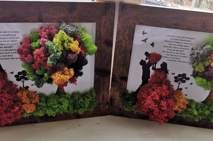 Tablou cu Licheni si Cadouri Personalizate in Exeter UK