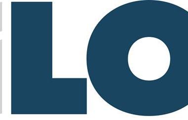 Angajam Sofer Van si Muncitori Necalificati - Pilon Ltd
